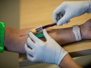 Supporting image for story: Blood test ‘could help predict which Covid patients are at higher risk of dying’