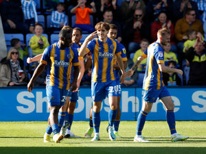 Supporting image for story: Aiden O’Brien primed for Shrewsbury debut