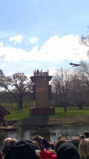 The falconry display saw some of the world's most impressive birds take flight