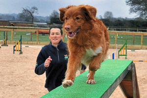 Supporting image for story: Market Drayton dog trainer celebrates first place at Crufts