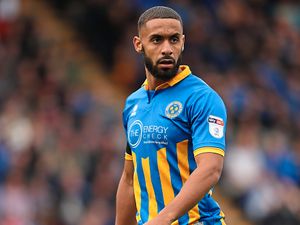 Supporting image for story: Stefan Payne is winning over the Shrewsbury Town doubters