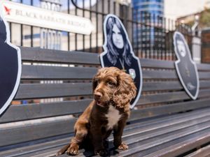 Supporting image for story: 'We hope he grows up to be as much of a legend' - Police pay tribute to rock legend Ozzy Osbourne with adorable snap of namesake pup
