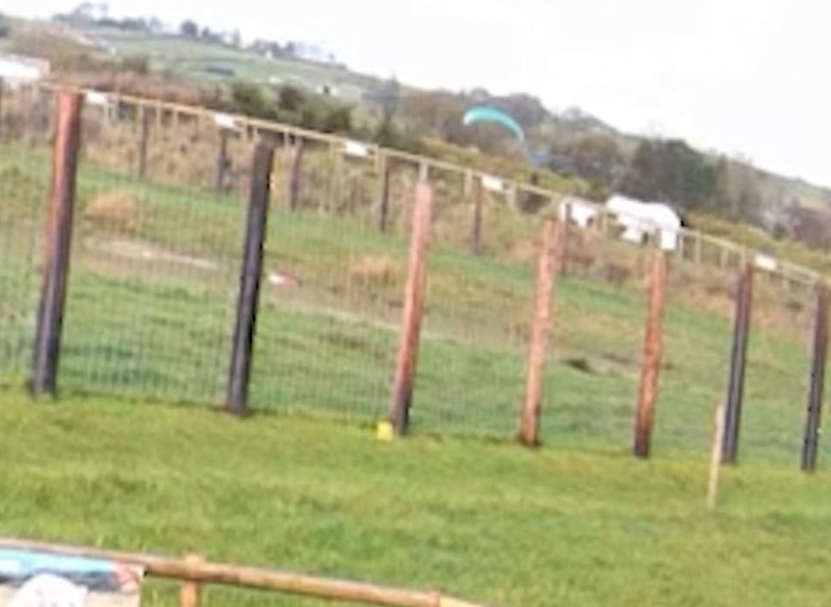 Paragliders in lucky escape after landing near Staffordshire polar bear enclosure