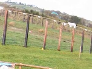 Supporting image for story: Paragliders in lucky escape after landing near Staffordshire polar bear enclosure
