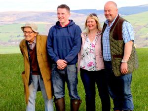 Supporting image for story: Lambing is an all hands-on family affair