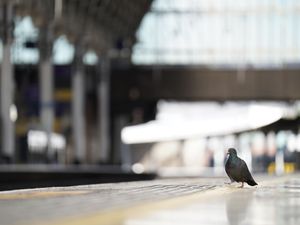 Supporting image for story: Fresh rail strike to cause more travel chaos