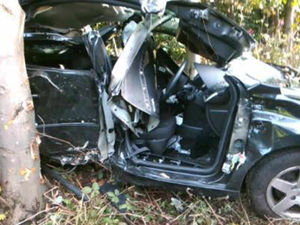 Supporting image for story: M5 crash: Man cut free from car which hit tree in smash leaving long delays