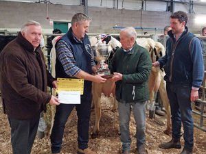 Supporting image for story: Shrewsbury’s Christmas cracker dairy show and sale offers £1,600 prizemoney