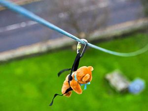 Supporting image for story: Adventurous teddies line up for zip wire