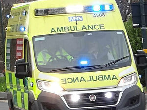 Supporting image for story: Shrewsbury woman, 52, killed by horse kick, inquest told
