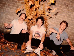 Supporting image for story: The Wombats to play Birmingham
