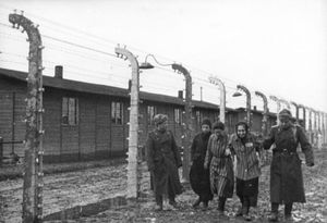Soviet soldiers are seen with some of the prisoners they liberated in Auschwitz II-Birkenau