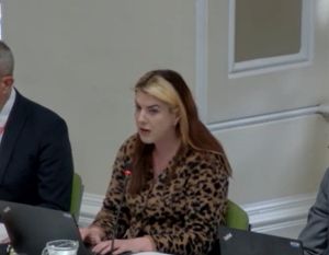 Birmingham Council's cabinet member for housing Nicky Brennan. Taken from council webcast.