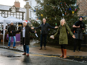 Supporting image for story: Christmas markets spread cheer around Powys town