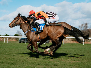 Supporting image for story: Racing abandoned for Ludlow Brewery Race Day at Ludlow Racecourse due to ground being 'unsafe'