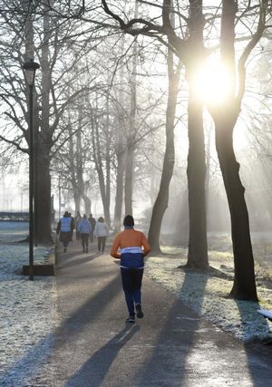 Frosty weather at Walsall Arboretum