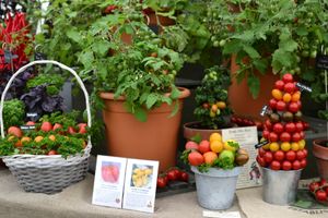 Fruit and veg will be on display