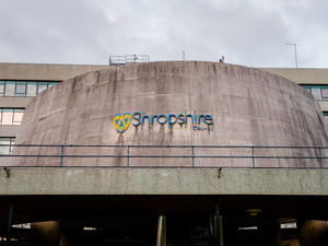 Supporting image for story: Music service focus for councillors