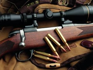 Supporting image for story: Big rise in the number of licensed guns in the region