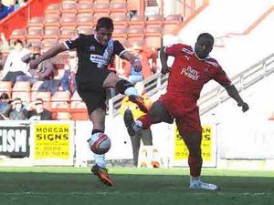 Supporting image for story: Home hope for the Saddlers