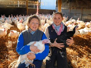 Supporting image for story: ‘Support your local growers’ call to festive shoppers