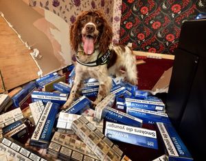 Scamp with one of the many hauls he's uncovered in the Black Country