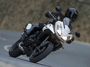 Supporting image for story: Tiger Sport earns its stripes