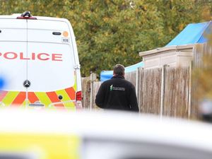 Supporting image for story