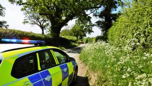 Emergency services at the scene. Photo: Peter Steggles