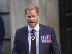 Supporting image for story: Harry shares support for bereaved military children at Christmas