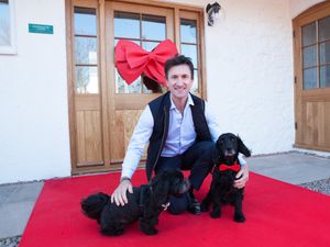 Supporting image for story: Red carpet roll-out for VIP canines at Shropshire holiday home opening