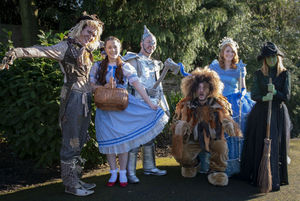 Supporting image for story