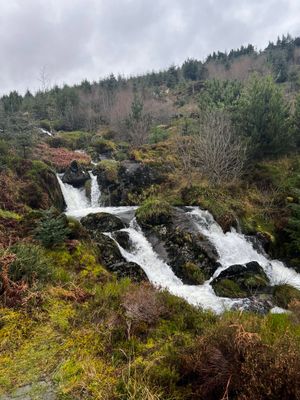 The source of the Severn. Photo: David Jones