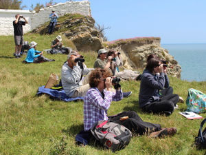 Supporting image for story: New marine eco-courses to boost number of UK-based citizen scientists