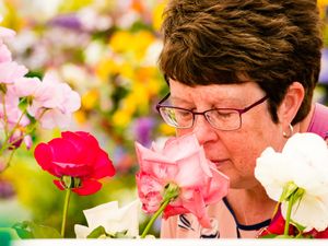 Supporting image for story: Shrewsbury Flower Show: Thousands flock to quarry for bloomin' marvellous show - with pictures