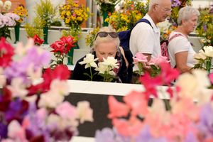 Taking a sniff of the display