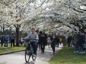 Supporting image for story: Spring-like Easter Sunday to be followed by chillier Monday