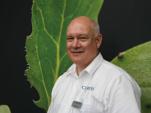 Supporting image for story: Break the vicious circle and get crops off to good start