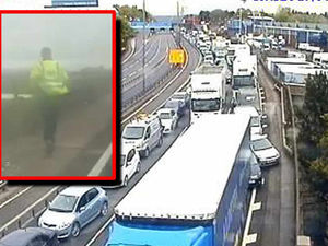 Supporting image for story: Shropshire lorry driver saves the day as escaped dog causes traffic chaos on the M5