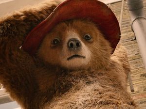 Supporting image for story