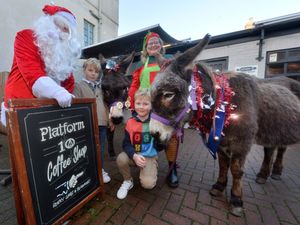 Supporting image for story: Santa brings his little donkeys to Bridgnorth