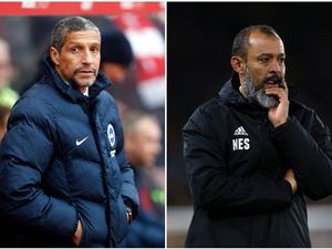 Supporting image for story: Preview: Brighton v Wolves