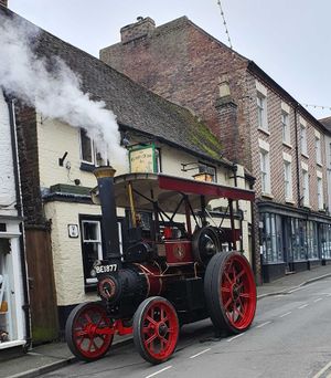 The surprise visitor in Much Wenlock (picture: Sophie Eades)