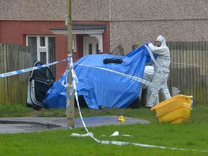 Supporting image for story: Second man charged with murder after cannabis farm robbery