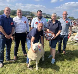 Hill breed champion  David Williams from Cefnlech 