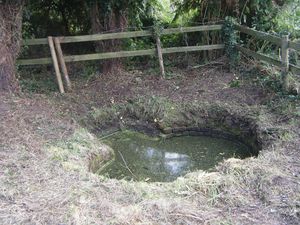 The Leper Well is an important part of the landscape of Gunstone