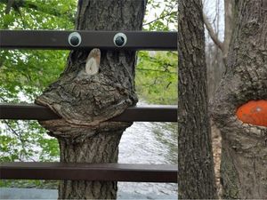 Supporting image for story: Just 9 trees sucking on things