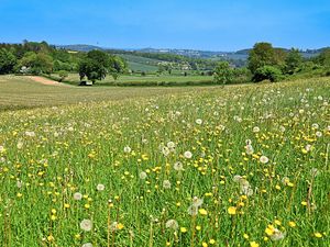 Supporting image for story: Shropshire the second most popular place to retire to in UK