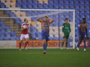 Supporting image for story: Dave Edwards calls on Shrewsbury to be braver 