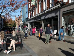 Supporting image for story: One in three hotels and restaurants fears it may not survive, survey finds